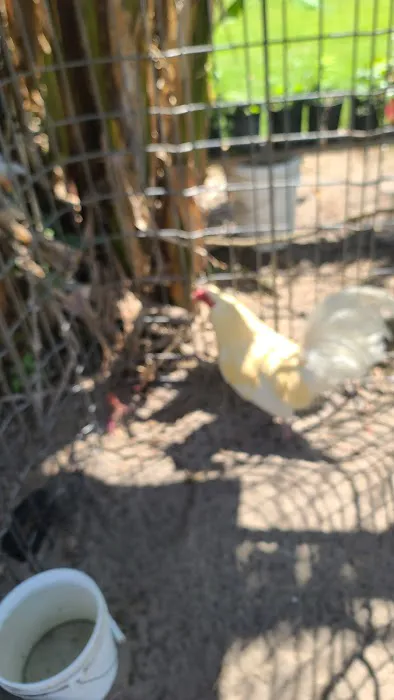 Grove Park Picture 2