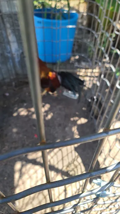 Grove Park Picture 3