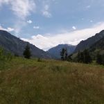 Metalex Fishtail Montana Lodge