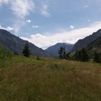 Metalex Fishtail Montana Lodge ico