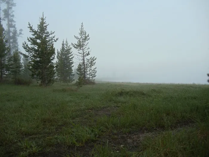 Tifton Overnight RV Picture 3