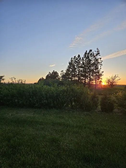Bama Bison RV Park & Farm Picture 5