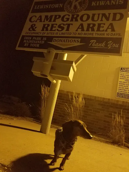 Bama Bison RV Park & Farm Picture 8