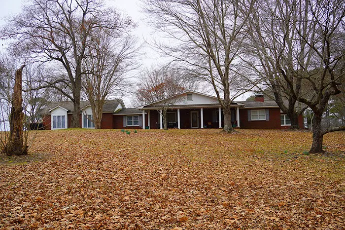 Bama Bison RV Park & Farm Picture 10