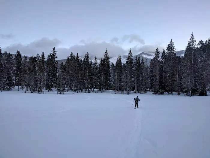 Nine Bear Lodge Picture 1