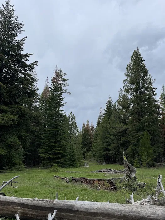 Barnhouse Campground Picture 4