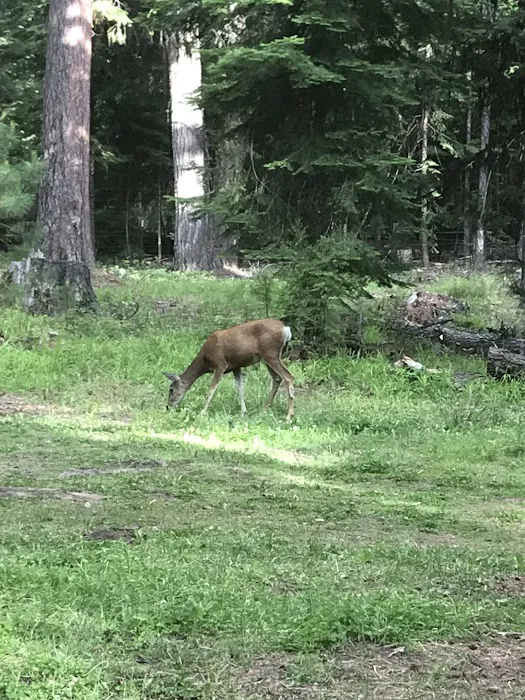Barnhouse Campground Picture 6