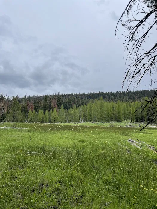 Barnhouse Campground Picture 7