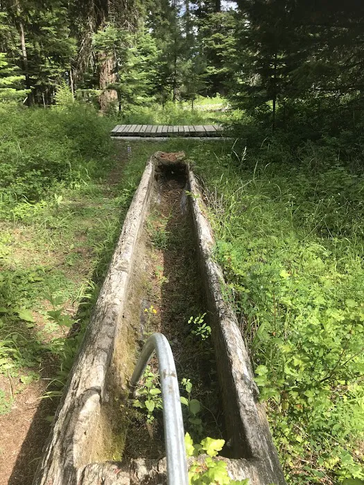 Barnhouse Campground Picture 9