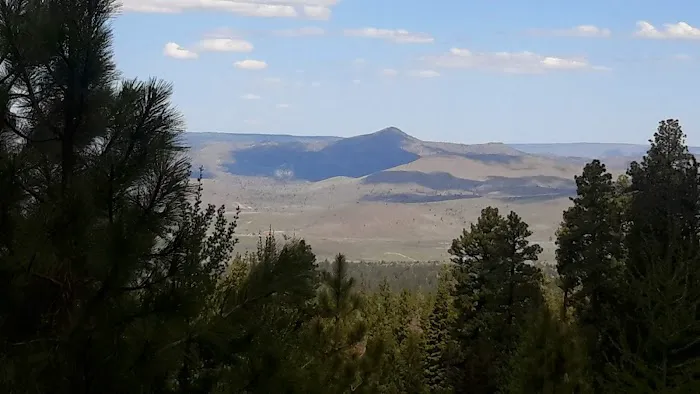 Barnhouse Campground Picture 10