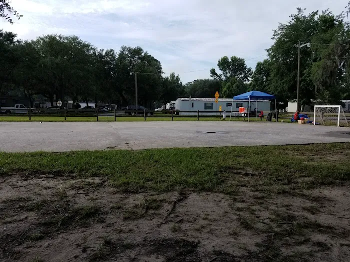 Shady Acres Picture 3