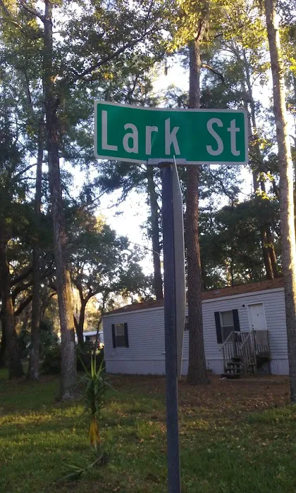 Shady Acres Picture 4