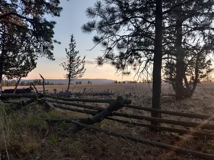 Allen Creek Horse Camp Picture 2