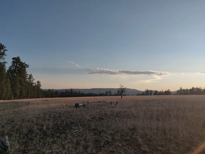 Allen Creek Horse Camp Picture 1