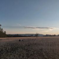 Allen Creek Horse Camp ico