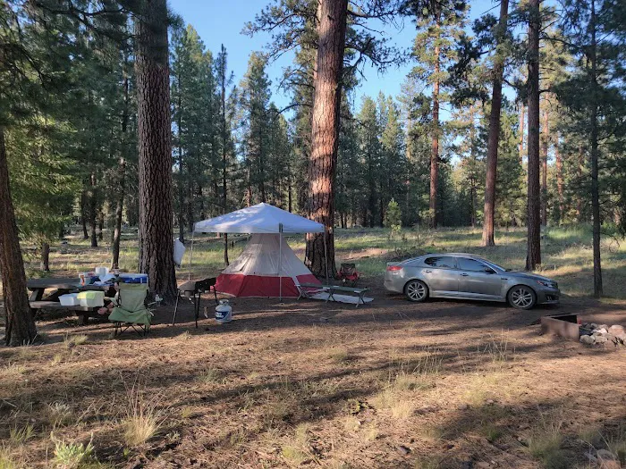 Allen Creek Horse Camp Picture 3