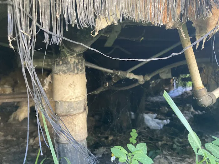 Hidden Springs Picture 3