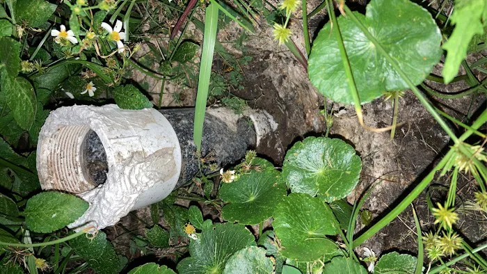 Hidden Springs Picture 5