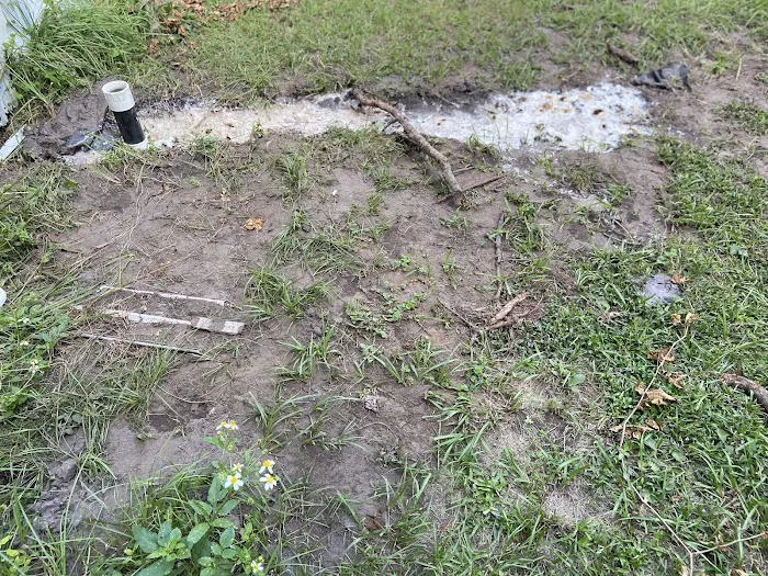 Hidden Springs Picture 4