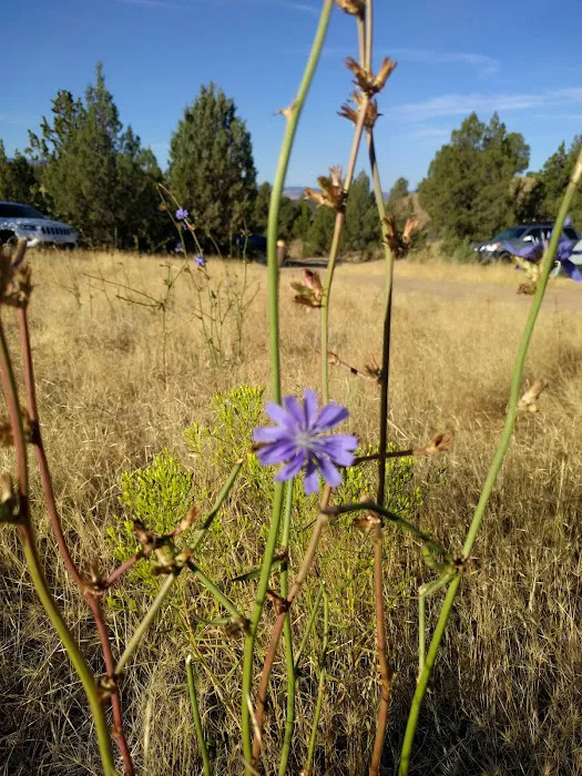 Hidden Springs Picture 8