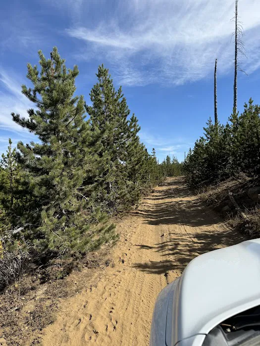 Wildwood Campground Picture 2