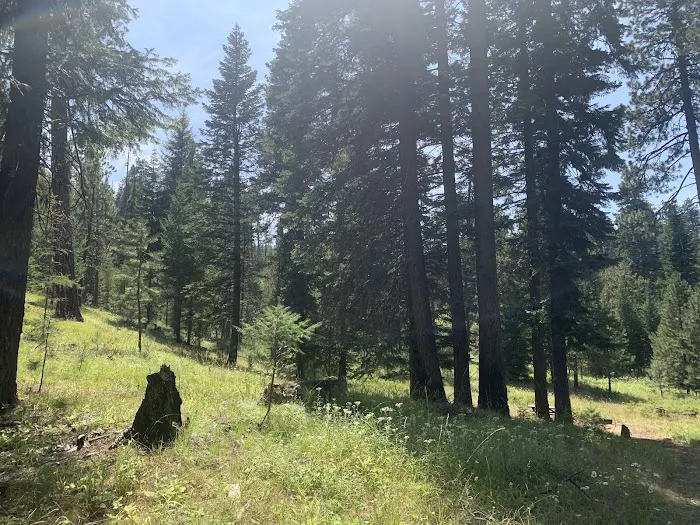 Wildwood Campground Picture 3