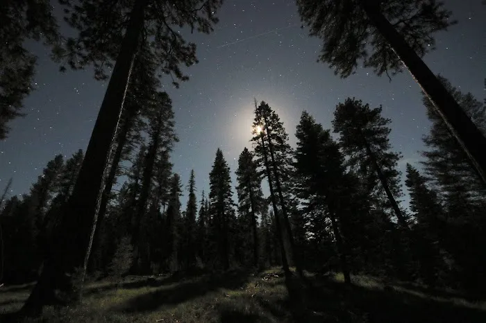 Wildwood Campground Picture 4