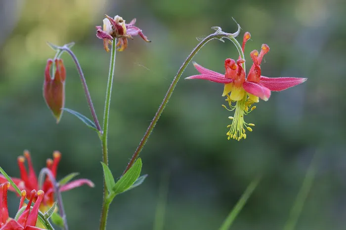 Wildwood Campground Picture 5