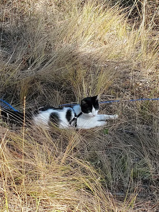 Wildwood Campground Picture 7