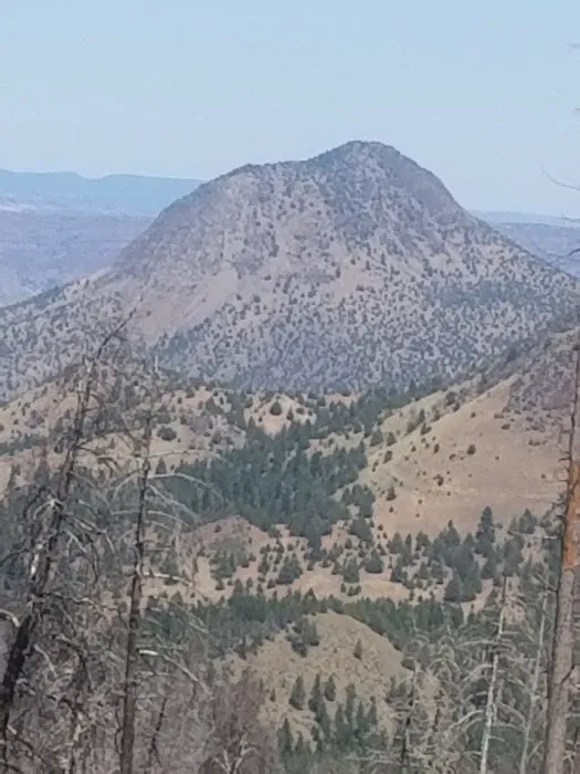 Wildwood Campground Picture 8