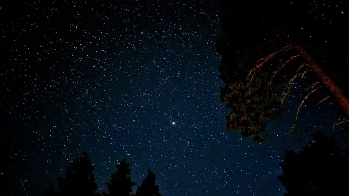 Wildwood Campground Picture 9