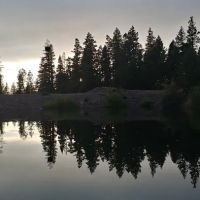 Vic & Pearls RV Park ico