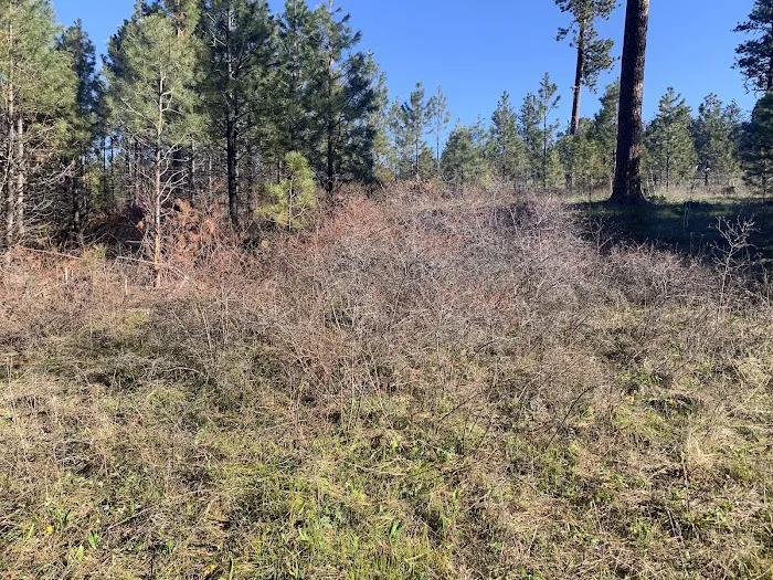 Fairview Campground Picture 1