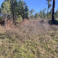 Fairview Campground ico