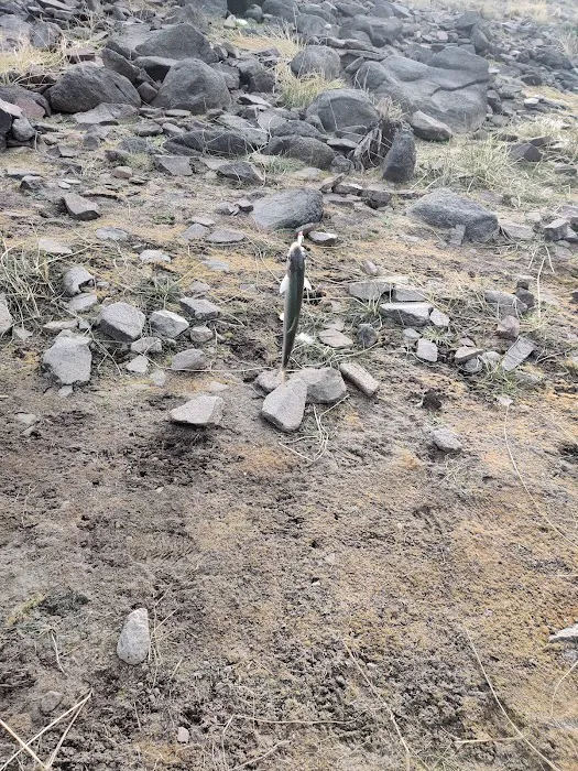 Antelope Flat Reservoir Campground Picture 7