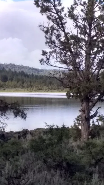 Antelope Flat Reservoir Campground Picture 6