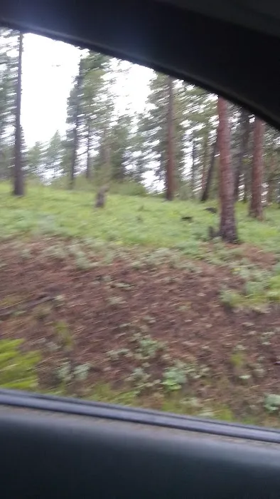 Antelope Flat Reservoir Campground Picture 8