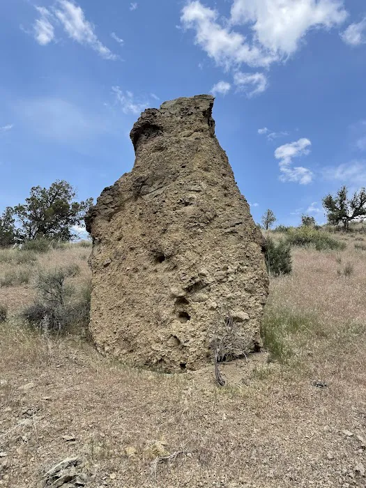 Peterson Rock Garden Pit Picture 1