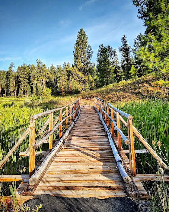 Bull Prairie Lake Campground Picture 5