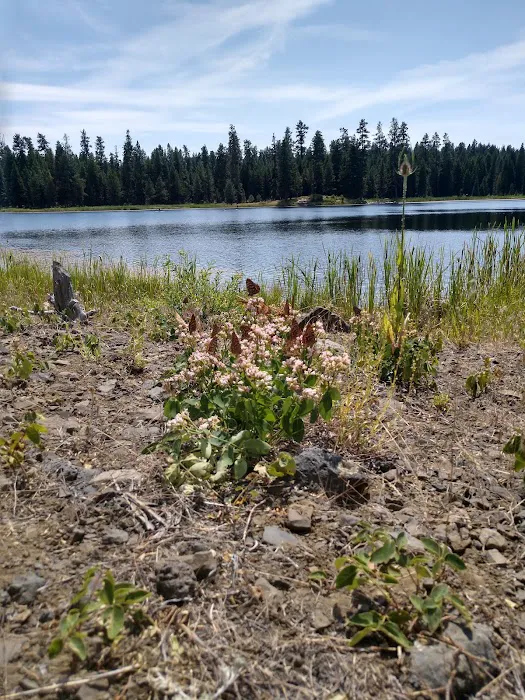 Bull Prairie Lake Campground Picture 10