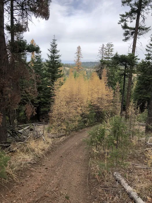 Morrow County OHV Park Picture 8