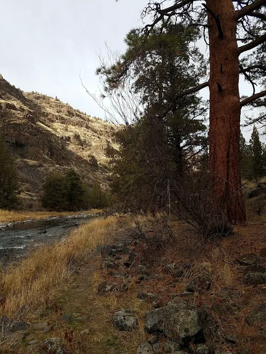 Poison Butte Campground Picture 2