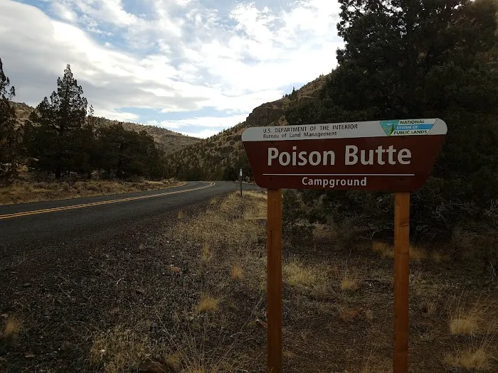 Poison Butte Campground Picture 4