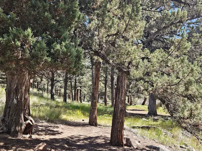 Poison Butte Campground Picture 9