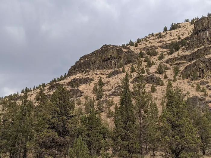 Poison Butte Campground Picture 10