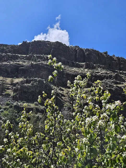 Poison Butte Campground Picture 8