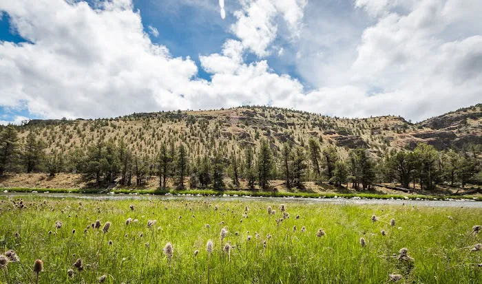 Post Pile Campground Picture 3