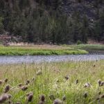 Post Pile Campground