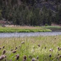 Post Pile Campground ico