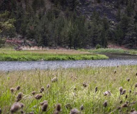 Post Pile Campground